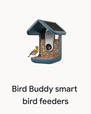 Bird Buddy smart bird feeders