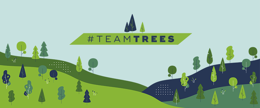 Get involved with #TeamTrees