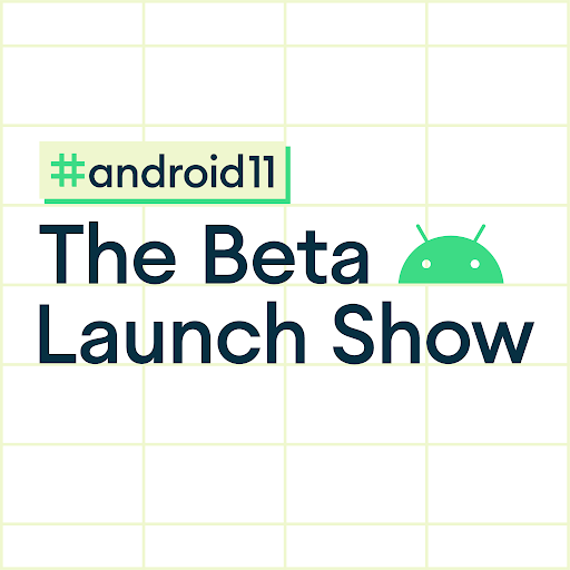 Android 11 beta show logo