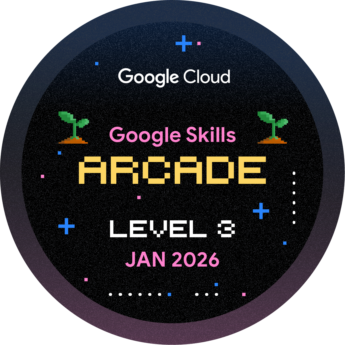 Level 3: January 2026