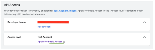 Access Token Level